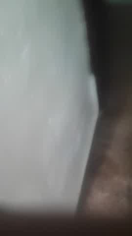 parapap