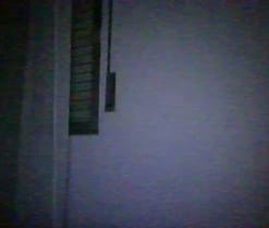 Reinadelsur89
