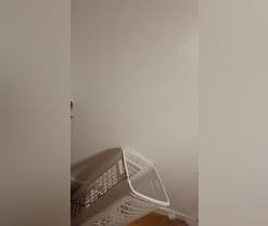 Cosito80