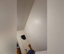 Cosito80
