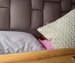 Lioness2142