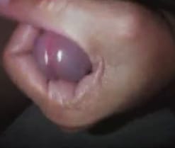 liblueraze