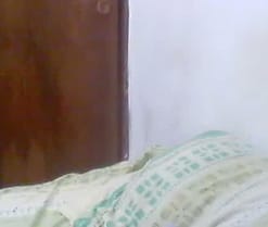 catalina_81