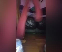 Tuvecino6