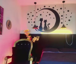 Webcam de LexiStter
