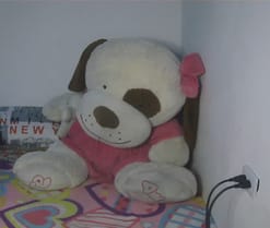 Roxy_star