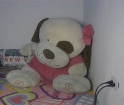 Roxy_star
