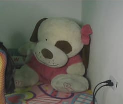 Roxy_star