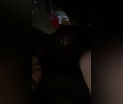 Jaspe7