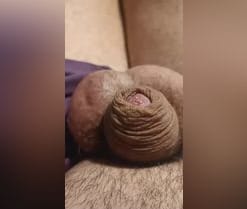 Webcam de coop