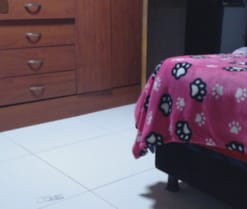Webcam de miia-1bigass