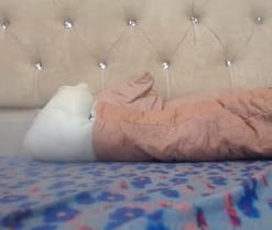 swettsunshine live cam