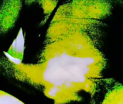 camcam12