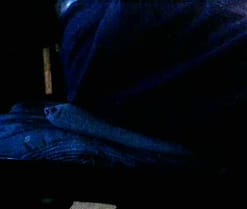 camcam12