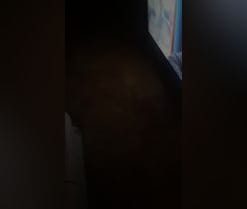 PIKARDIASPAIN