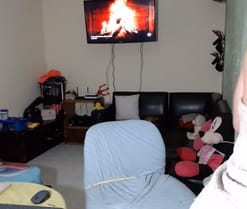 alina_li live cam