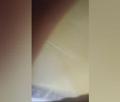 YourPervVice