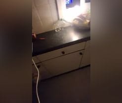 YourPervVice