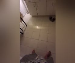 YourPervVice