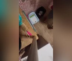 YourPervVice