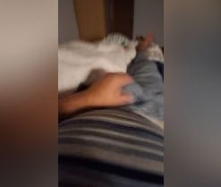 YourPervVice