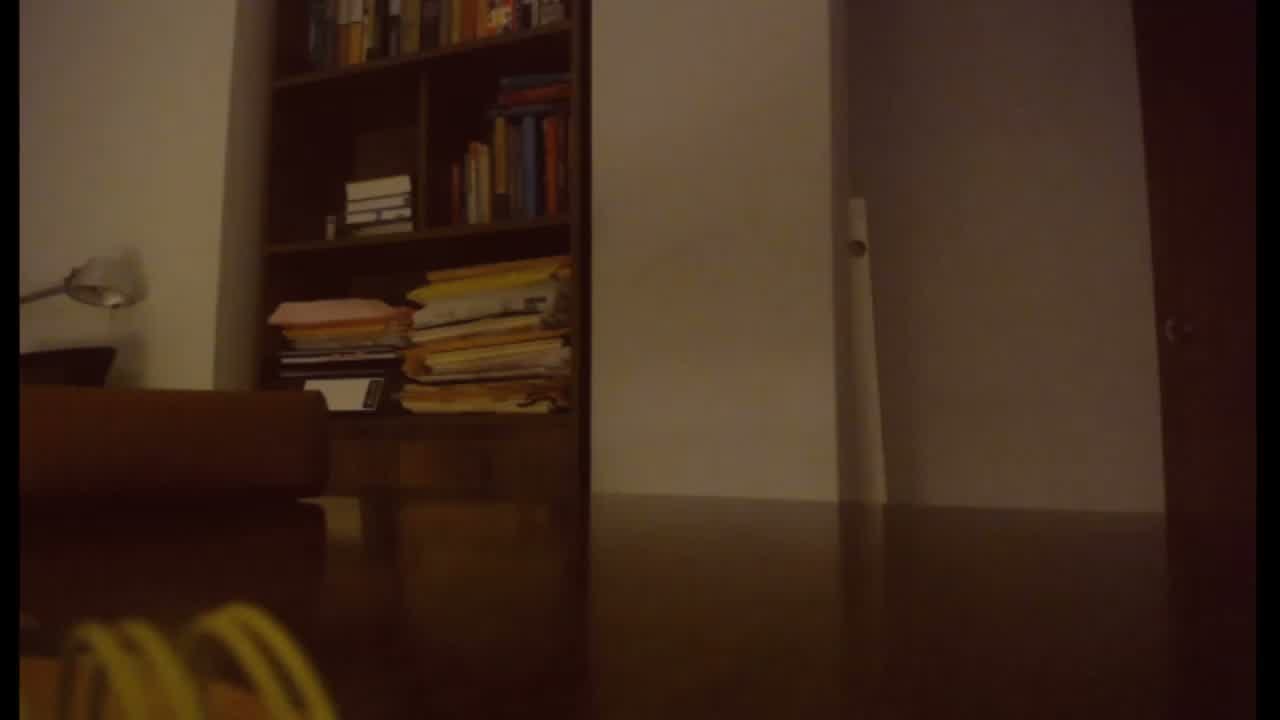 Analucia_ – currently Offline