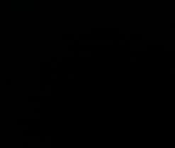 Webcam de Kaaroll