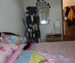Barbiemiauh