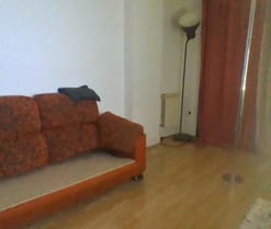 Curiosos_87