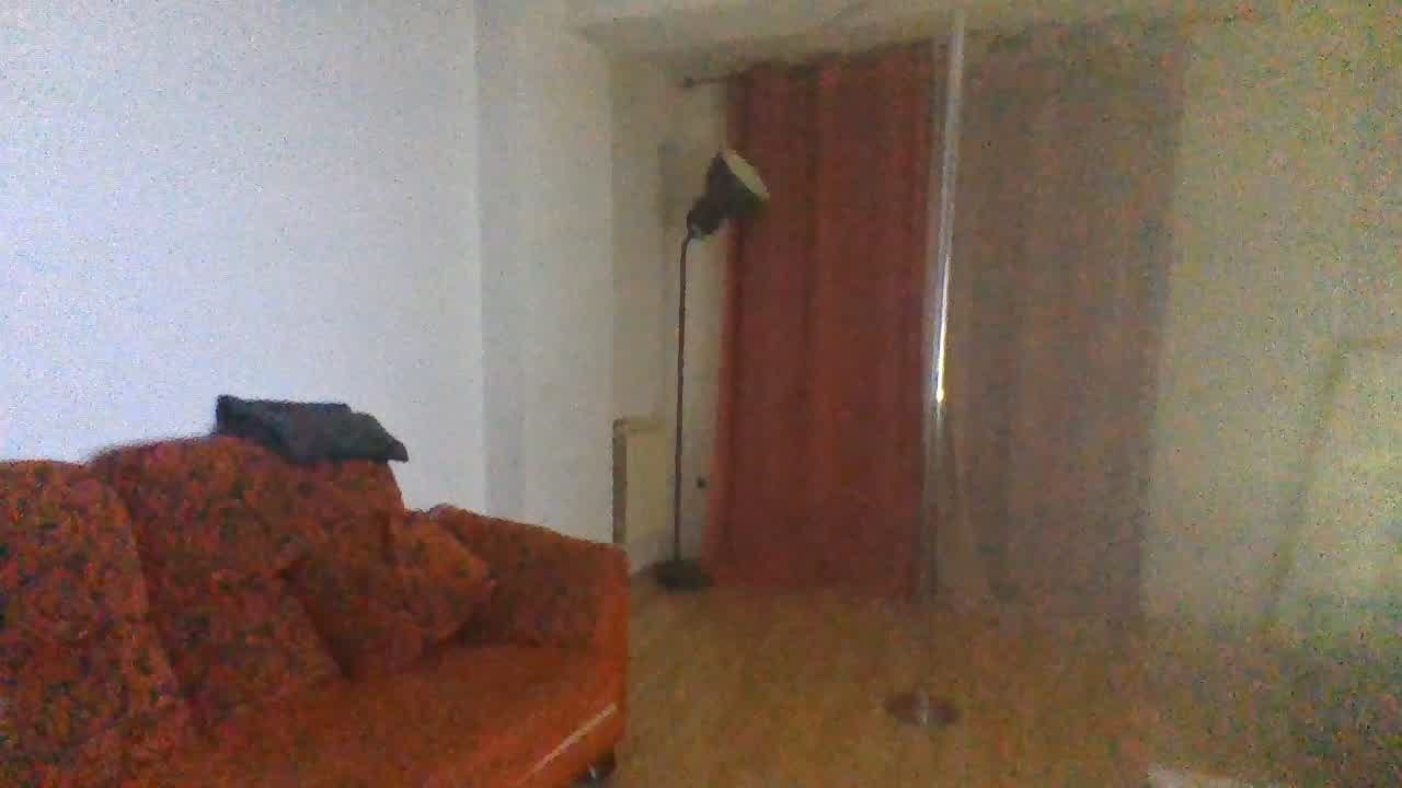 Curiosos_87
