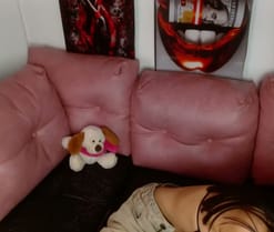 miahotcs