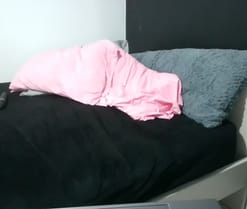 cherrybomb en directo por webcam