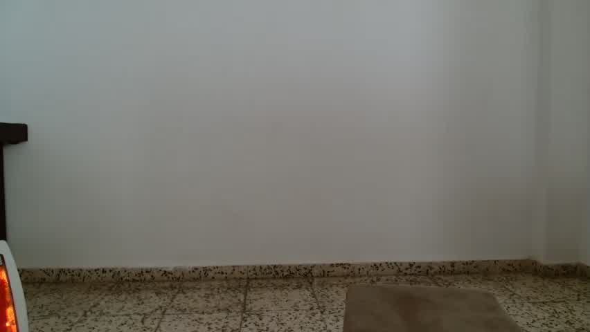 Babybutterfly