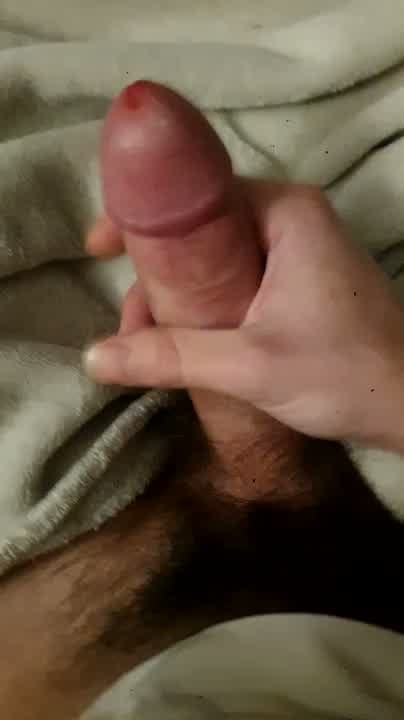 Coronamipolla webcam model
