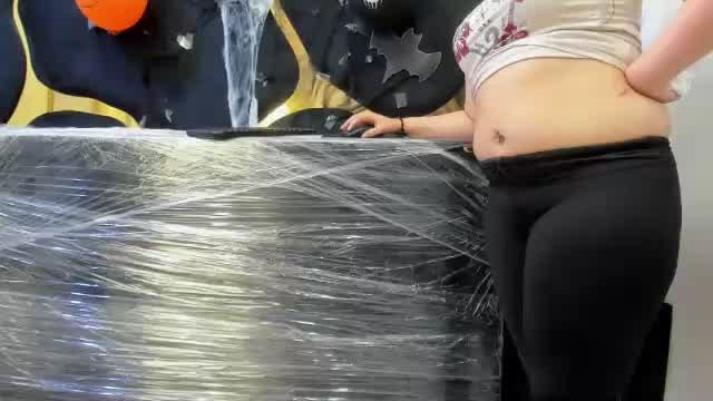 modelo webcam Sofia_SyS