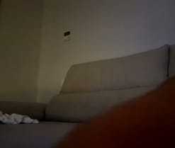 Angelicaa4