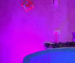 Miranda_sexlove