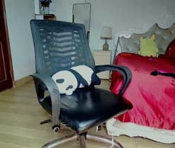 Webcam de squirtsuka