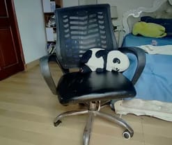 squirtsuka