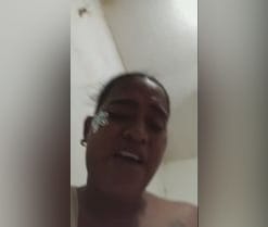 Webcam de exotycs