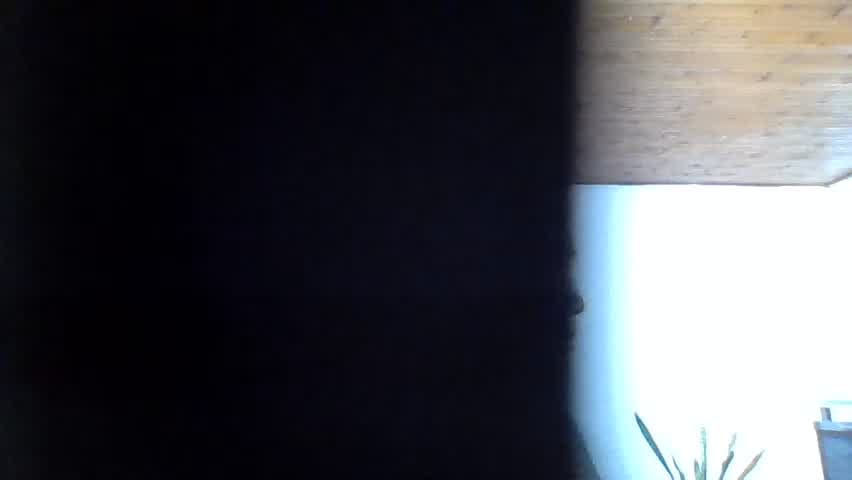 ウェブカムモデル DeviX