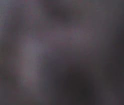 GusRH