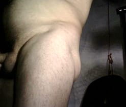 Amadorxx1168