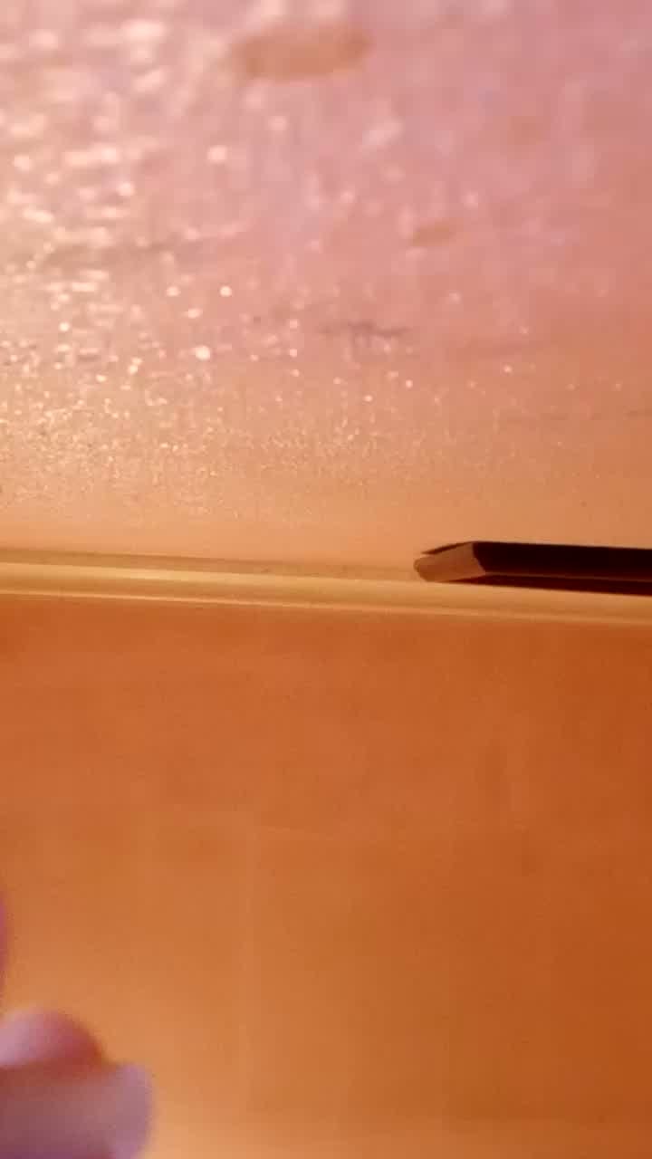 Morbosa3000