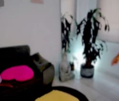 Missvaleriewts