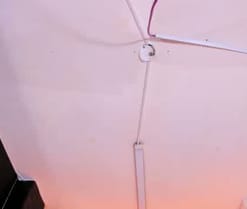Sienna_Lux1
