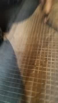 resgan