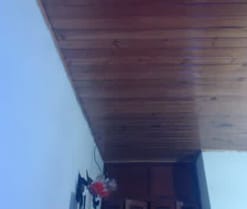 Cyndi_rockefell