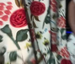 GeniosCouple