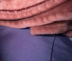 Violet_zanolii